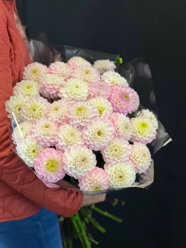 Peony Bloom